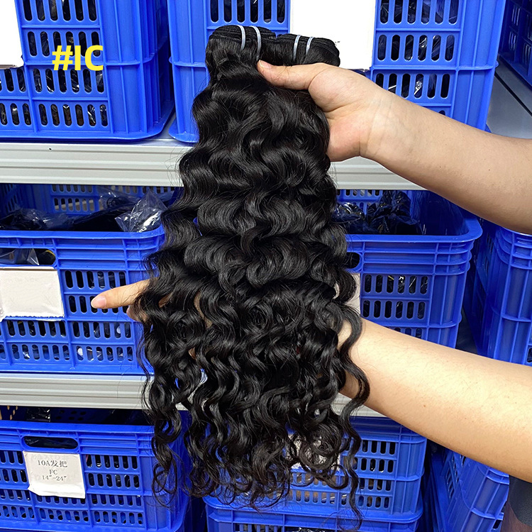 1b italian curly